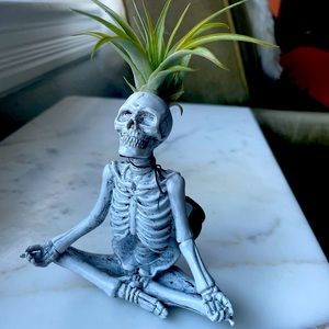 Trader Joe’s Yoga Skeleton
